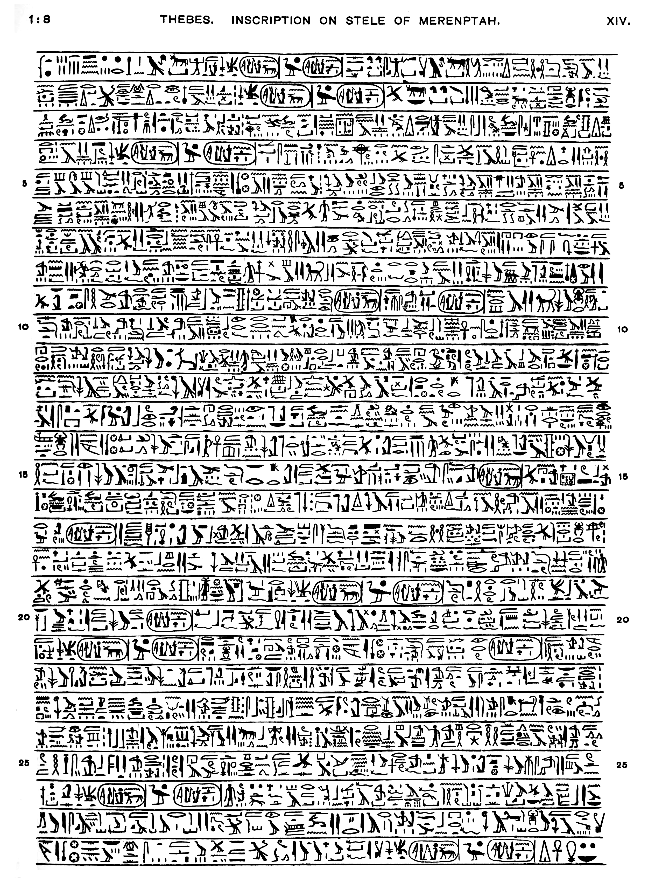 Transcripción de la Estela de Meremptá.
